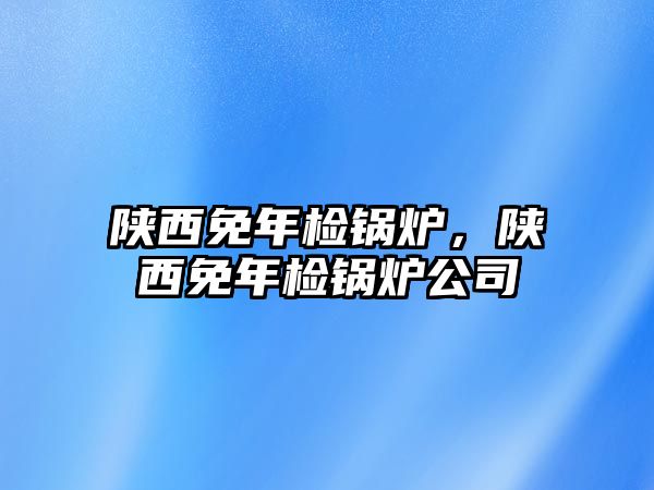 陜西免年檢鍋爐，陜西免年檢鍋爐公司