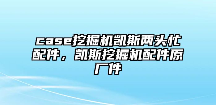 case挖掘機(jī)凱斯兩頭忙配件，凱斯挖掘機(jī)配件原廠件