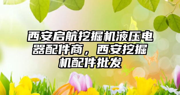 西安啟航挖掘機液壓電器配件商，西安挖掘機配件批發(fā)