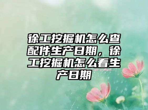 徐工挖掘機怎么查配件生產(chǎn)日期，徐工挖掘機怎么看生產(chǎn)日期