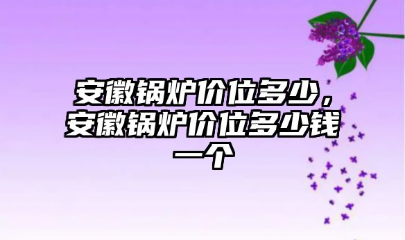 安徽鍋爐價位多少，安徽鍋爐價位多少錢一個