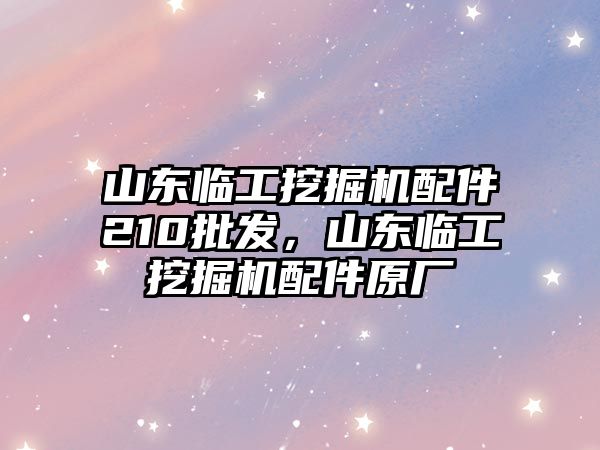 山東臨工挖掘機配件210批發(fā)，山東臨工挖掘機配件原廠