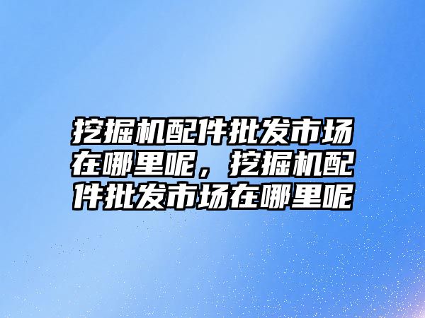 挖掘機配件批發(fā)市場在哪里呢，挖掘機配件批發(fā)市場在哪里呢