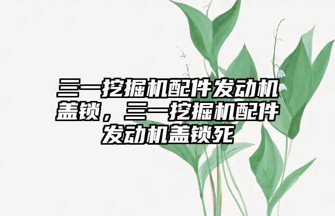 三一挖掘機配件發(fā)動機蓋鎖，三一挖掘機配件發(fā)動機蓋鎖死