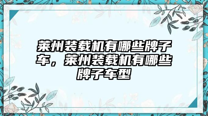 萊州裝載機(jī)有哪些牌子車(chē)，萊州裝載機(jī)有哪些牌子車(chē)型