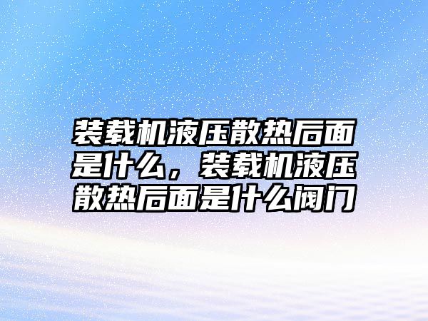 裝載機(jī)液壓散熱后面是什么，裝載機(jī)液壓散熱后面是什么閥門