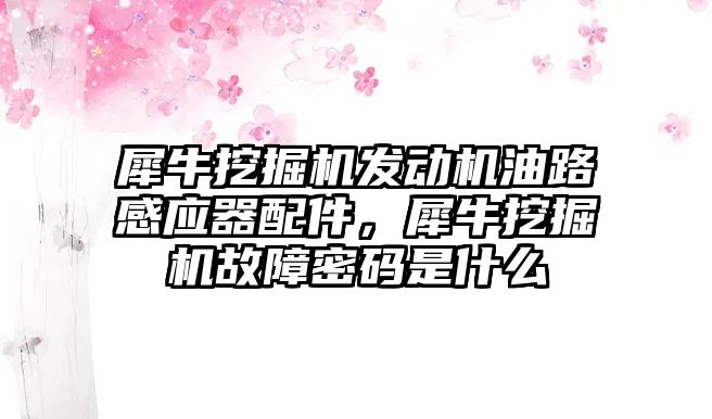 犀牛挖掘機發(fā)動機油路感應器配件，犀牛挖掘機故障密碼是什么