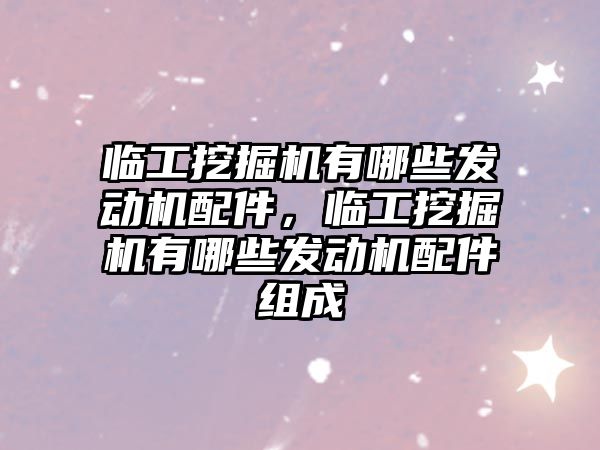 臨工挖掘機有哪些發(fā)動機配件，臨工挖掘機有哪些發(fā)動機配件組成