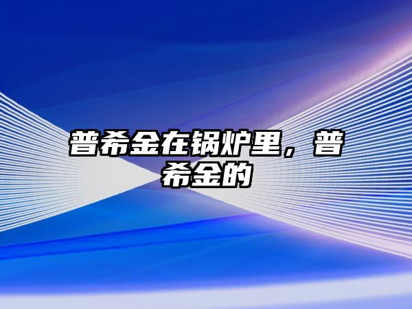 普希金在鍋爐里，普希金的