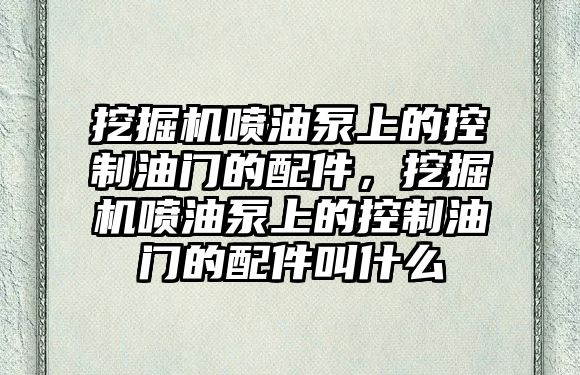 挖掘機噴油泵上的控制油門的配件，挖掘機噴油泵上的控制油門的配件叫什么