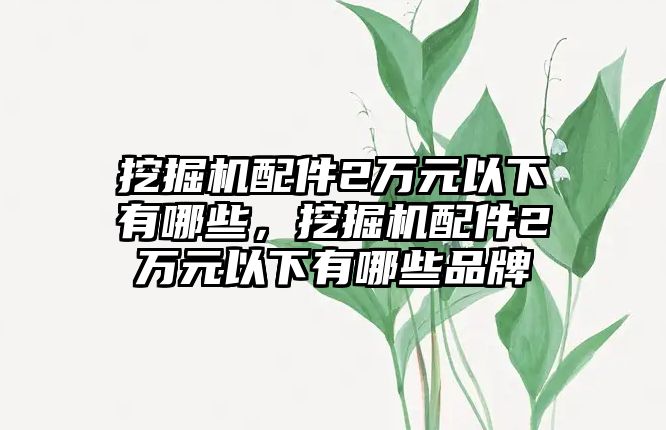 挖掘機(jī)配件2萬元以下有哪些，挖掘機(jī)配件2萬元以下有哪些品牌