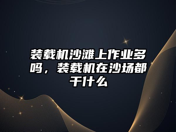 裝載機沙灘上作業(yè)多嗎，裝載機在沙場都干什么