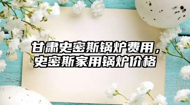 甘肅史密斯鍋爐費用，史密斯家用鍋爐價格