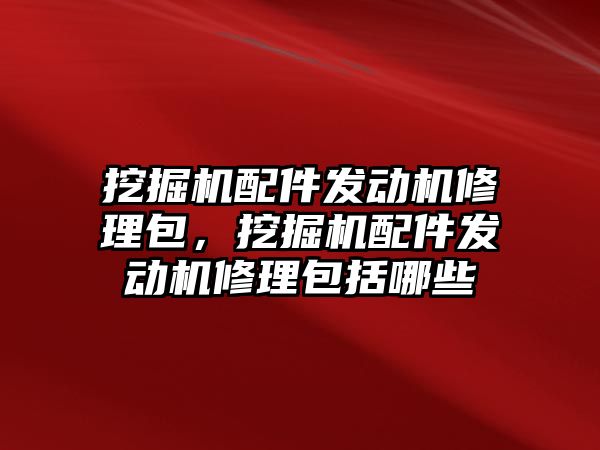 挖掘機配件發(fā)動機修理包，挖掘機配件發(fā)動機修理包括哪些