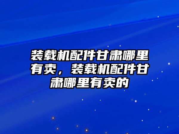 裝載機配件甘肅哪里有賣，裝載機配件甘肅哪里有賣的