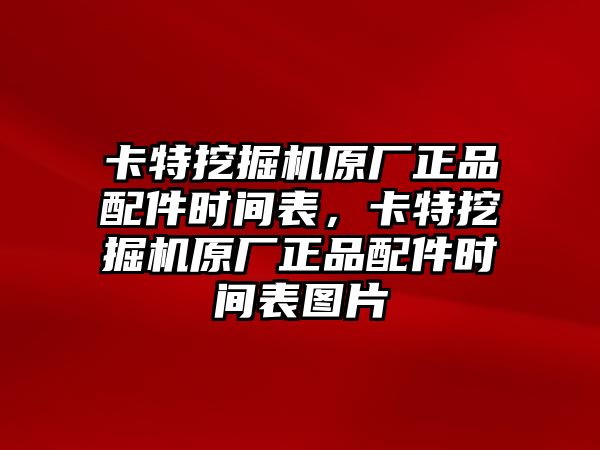 卡特挖掘機(jī)原廠正品配件時間表，卡特挖掘機(jī)原廠正品配件時間表圖片