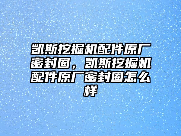 凱斯挖掘機(jī)配件原廠密封圈，凱斯挖掘機(jī)配件原廠密封圈怎么樣