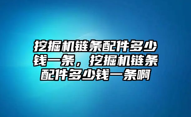 挖掘機(jī)鏈條配件多少錢一條，挖掘機(jī)鏈條配件多少錢一條啊