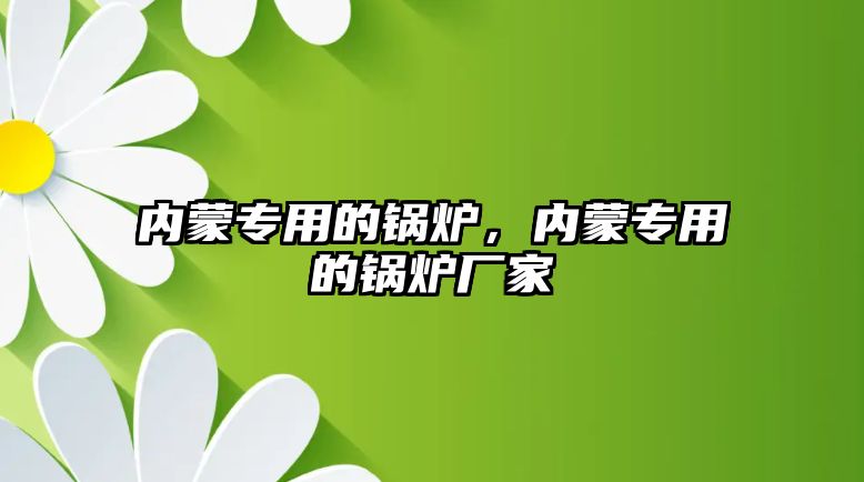 內蒙專用的鍋爐，內蒙專用的鍋爐廠家