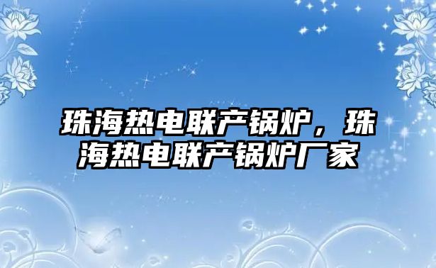 珠海熱電聯(lián)產(chǎn)鍋爐，珠海熱電聯(lián)產(chǎn)鍋爐廠家