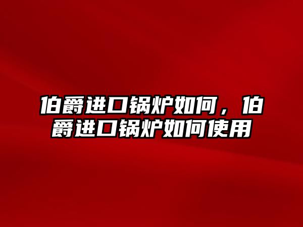 伯爵進(jìn)口鍋爐如何，伯爵進(jìn)口鍋爐如何使用