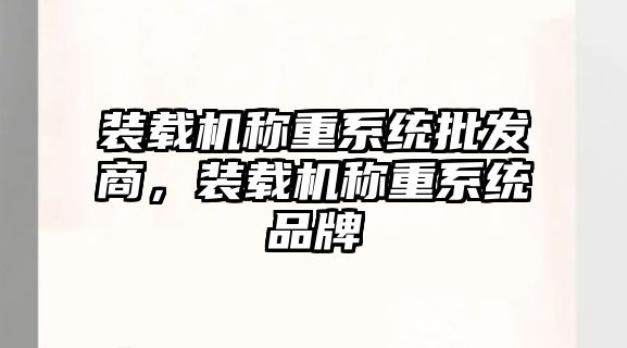 裝載機(jī)稱(chēng)重系統(tǒng)批發(fā)商，裝載機(jī)稱(chēng)重系統(tǒng)品牌