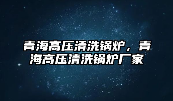 青海高壓清洗鍋爐，青海高壓清洗鍋爐廠家