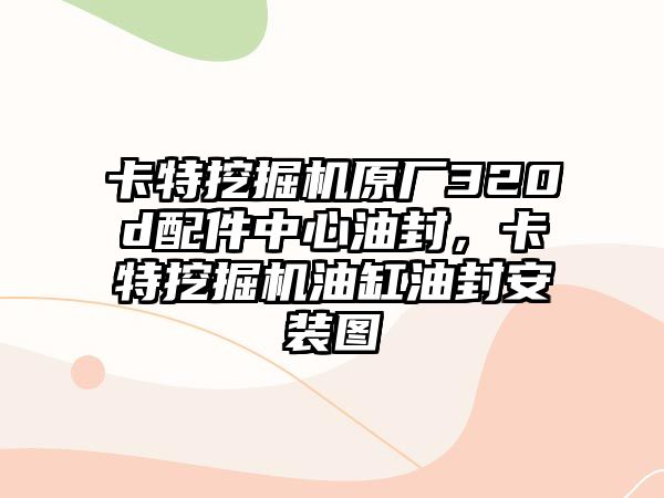 卡特挖掘機(jī)原廠320d配件中心油封，卡特挖掘機(jī)油缸油封安裝圖