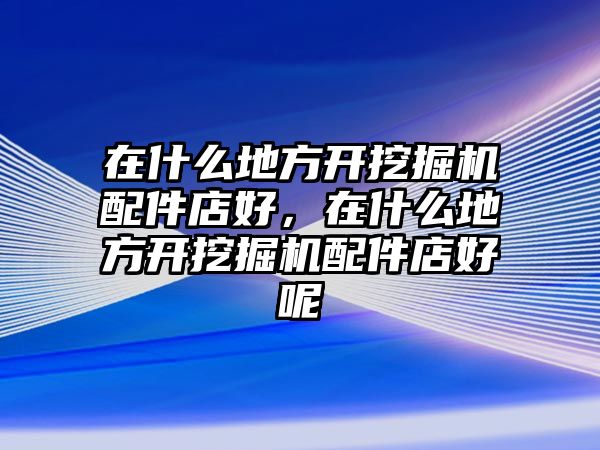 在什么地方開挖掘機配件店好，在什么地方開挖掘機配件店好呢