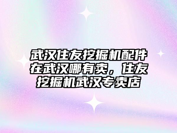 武漢住友挖掘機(jī)配件在武漢哪有賣，住友挖掘機(jī)武漢專賣店