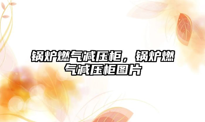 鍋爐燃?xì)鉁p壓柜，鍋爐燃?xì)鉁p壓柜圖片