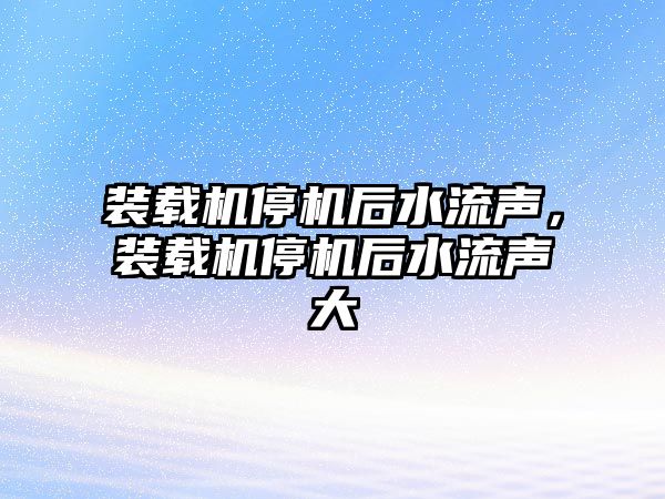 裝載機停機后水流聲，裝載機停機后水流聲大