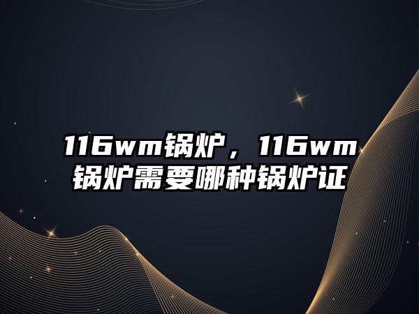 116wm鍋爐，116wm鍋爐需要哪種鍋爐證