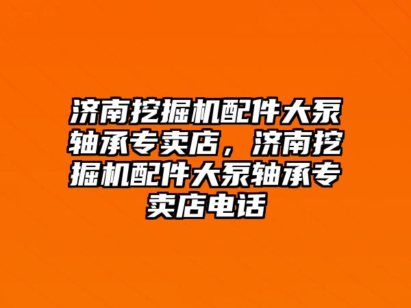 濟南挖掘機配件大泵軸承專賣店，濟南挖掘機配件大泵軸承專賣店電話