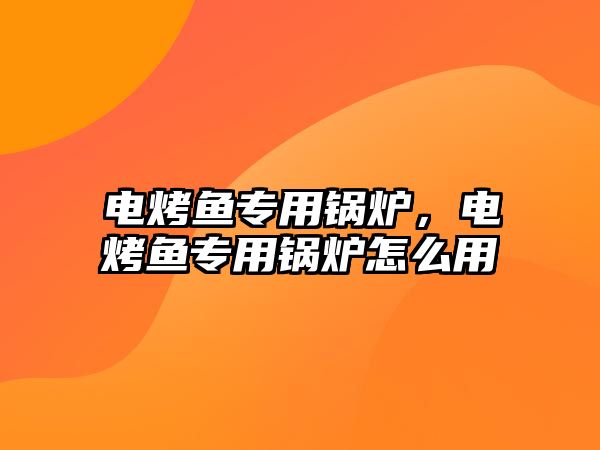 電烤魚(yú)專用鍋爐，電烤魚(yú)專用鍋爐怎么用