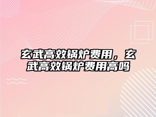 玄武高效鍋爐費用，玄武高效鍋爐費用高嗎