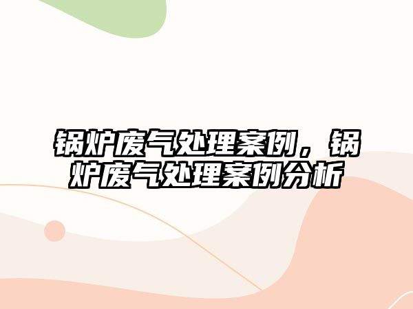 鍋爐廢氣處理案例，鍋爐廢氣處理案例分析