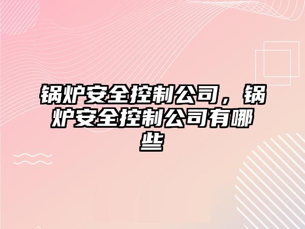 鍋爐安全控制公司，鍋爐安全控制公司有哪些