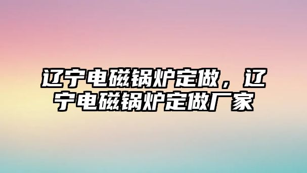 遼寧電磁鍋爐定做，遼寧電磁鍋爐定做廠家