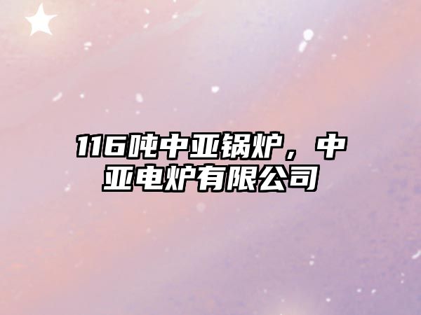 116噸中亞鍋爐，中亞電爐有限公司