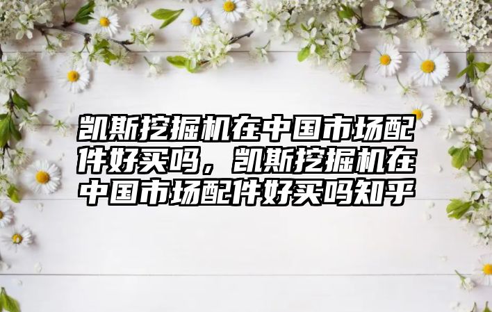 凱斯挖掘機在中國市場配件好買嗎，凱斯挖掘機在中國市場配件好買嗎知乎