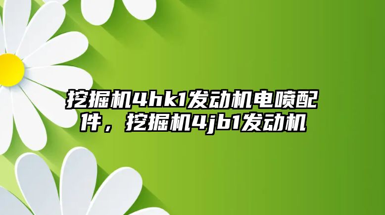 挖掘機4hk1發(fā)動機電噴配件，挖掘機4jb1發(fā)動機