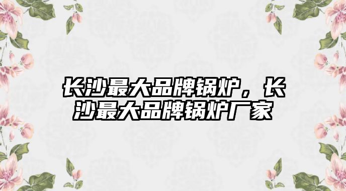 長沙最大品牌鍋爐，長沙最大品牌鍋爐廠家