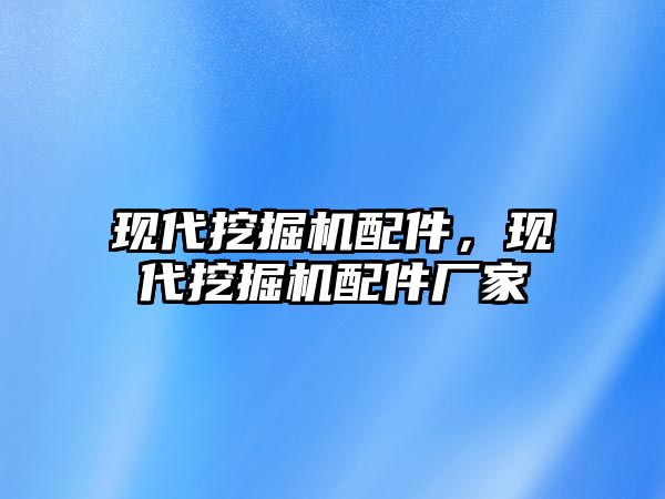 現(xiàn)代挖掘機配件，現(xiàn)代挖掘機配件廠家