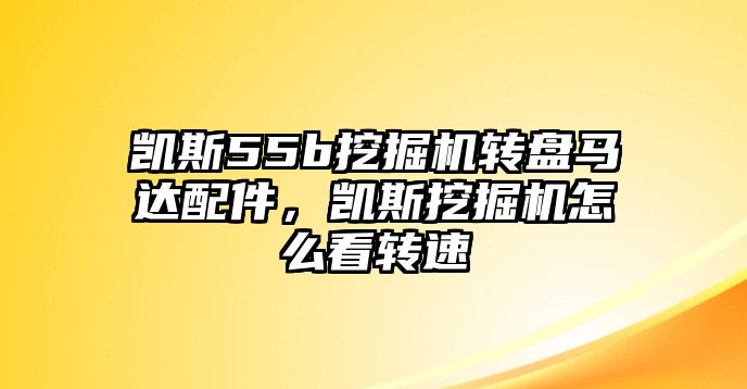 凱斯55b挖掘機轉(zhuǎn)盤馬達配件，凱斯挖掘機怎么看轉(zhuǎn)速