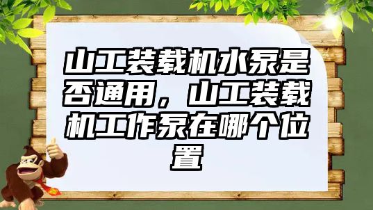 山工裝載機水泵是否通用，山工裝載機工作泵在哪個位置