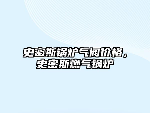 史密斯鍋爐氣閥價(jià)格，史密斯燃?xì)忮仩t