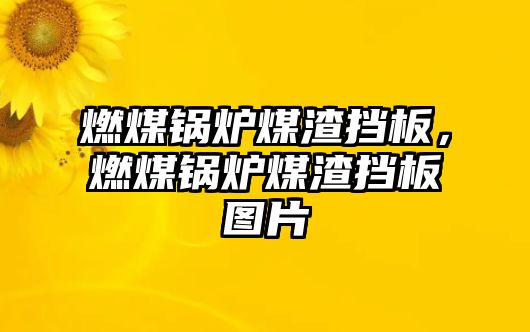 燃煤鍋爐煤渣擋板，燃煤鍋爐煤渣擋板圖片