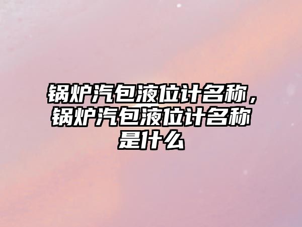 鍋爐汽包液位計名稱，鍋爐汽包液位計名稱是什么