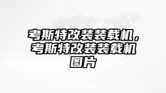 考斯特改裝裝載機(jī)，考斯特改裝裝載機(jī)圖片